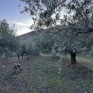 Caleros Fondón
